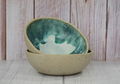 Ramen bowl in Milos collection